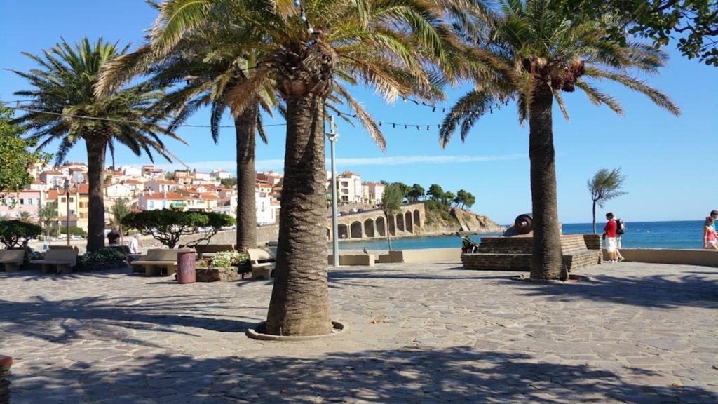 Studio "Les Roches Blanches" - Vue Mer & Vignes Banyuls-sur-Mer Eksteriør bilde